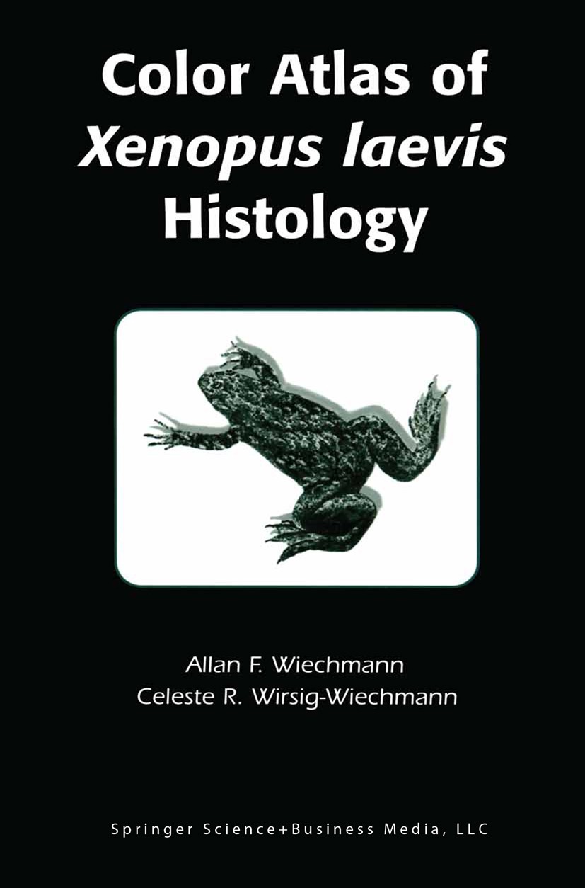 Titlebook: Color Atlas of Xenopus laevis Histology; Allan F. Wiechmann,Celeste R. Wirsig-Wiechmann Book 2003 Springer Science+Business Media New York Titlebook: Color Atlas of Xenopus laevis Histology; Allan F. Wiechmann,Celeste R. Wirsig-Wiechmann Book 2003 Springer Science+Business Media New York