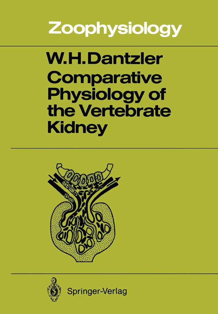 Titlebook: Comparative Physiology of the Vertebrate Kidney; William H. Dantzler Book 19891st edition Springer-Verlag Berlin Heidelberg 1989 Amino aci Titlebook: Comparative Physiology of the Vertebrate Kidney; William H. Dantzler Book 19891st edition Springer-Verlag Berlin Heidelberg 1989 Amino aci
