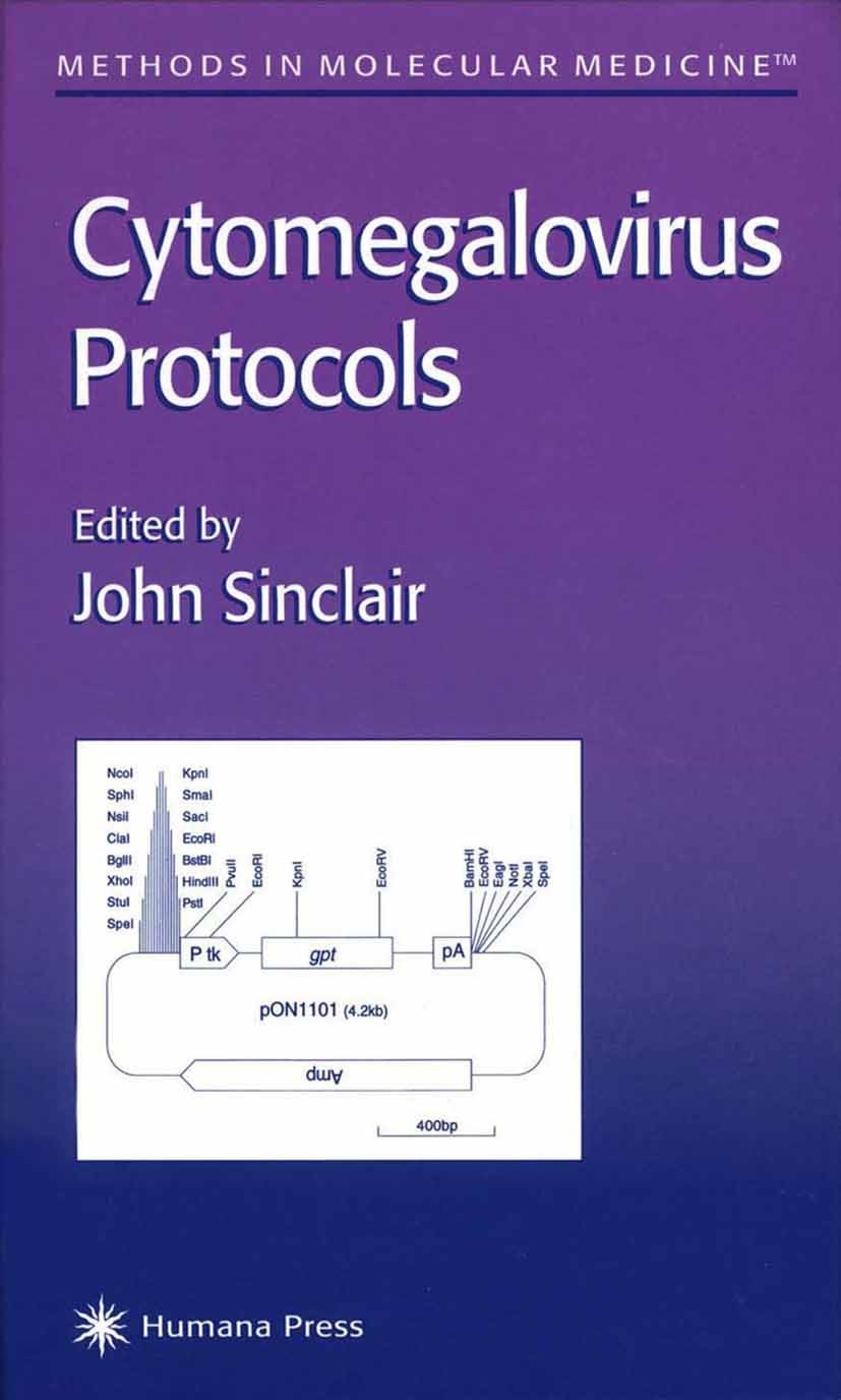 Titlebook: Cytomegalovirus Protocols; John Sinclair Book 2000 Humana Press 2000 infectious diseases Titlebook: Cytomegalovirus Protocols; John Sinclair Book 2000 Humana Press 2000 infectious diseases