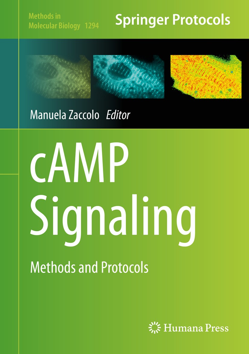 Titlebook: cAMP Signaling; Methods and Protocol Manuela Zaccolo Book 2015 Springer Science+Business Media New York 2015 Adenosine 3′,5′-monophosphate. Titlebook: cAMP Signaling; Methods and Protocol Manuela Zaccolo Book 2015 Springer Science+Business Media New York 2015 Adenosine 3′,5′-monophosphate.