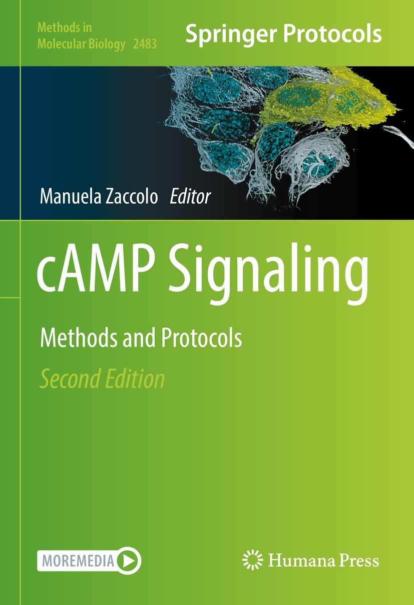 Titlebook: cAMP Signaling; Methods and Protocol Manuela Zaccolo Book 2022Latest edition The Editor(s) (if applicable) and The Author(s), under exclusi Titlebook: cAMP Signaling; Methods and Protocol Manuela Zaccolo Book 2022Latest edition The Editor(s) (if applicable) and The Author(s), under exclusi