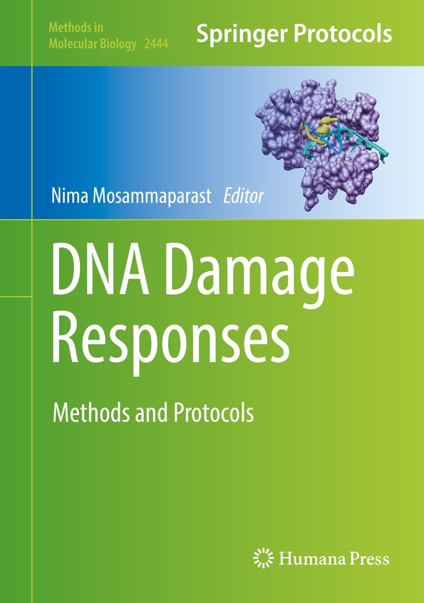 Titlebook: DNA Damage Responses; Methods and Protocol Nima Mosammaparast Book 2022 The Editor(s) (if applicable) and The Author(s), under exclusive li Titlebook: DNA Damage Responses; Methods and Protocol Nima Mosammaparast Book 2022 The Editor(s) (if applicable) and The Author(s), under exclusive li