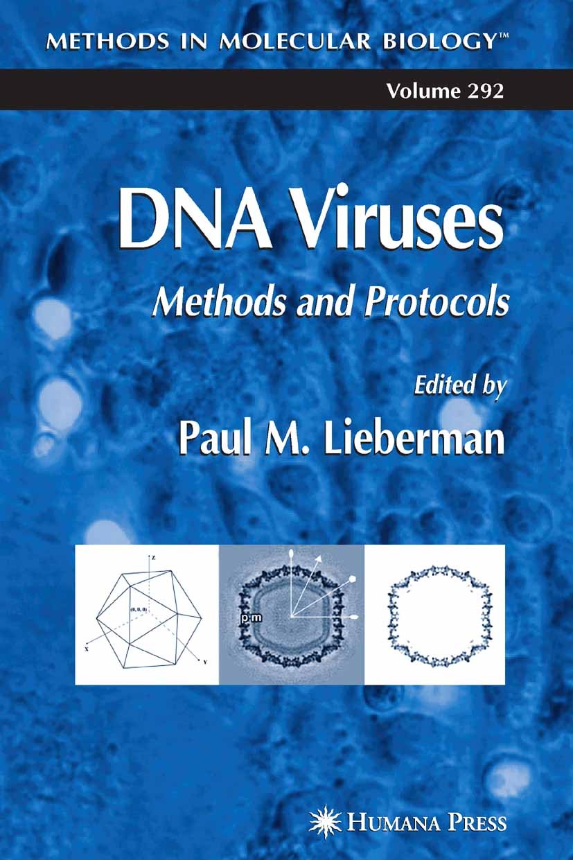 Titlebook: DNA Viruses; Methods and Protocol Paul M. Lieberman Book 2005 Humana Press 2005 DNA.PCR.Termination.cell lines.electron microscopy.gene exp Titlebook: DNA Viruses; Methods and Protocol Paul M. Lieberman Book 2005 Humana Press 2005 DNA.PCR.Termination.cell lines.electron microscopy.gene exp
