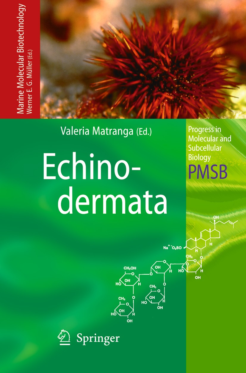 Titlebook: Echinodermata; Valeria Matranga Book 2005 Springer-Verlag Berlin Heidelberg 2005 DNA.Echinodermata.aquaculture.biology.biomedicine.biotech Titlebook: Echinodermata; Valeria Matranga Book 2005 Springer-Verlag Berlin Heidelberg 2005 DNA.Echinodermata.aquaculture.biology.biomedicine.biotech
