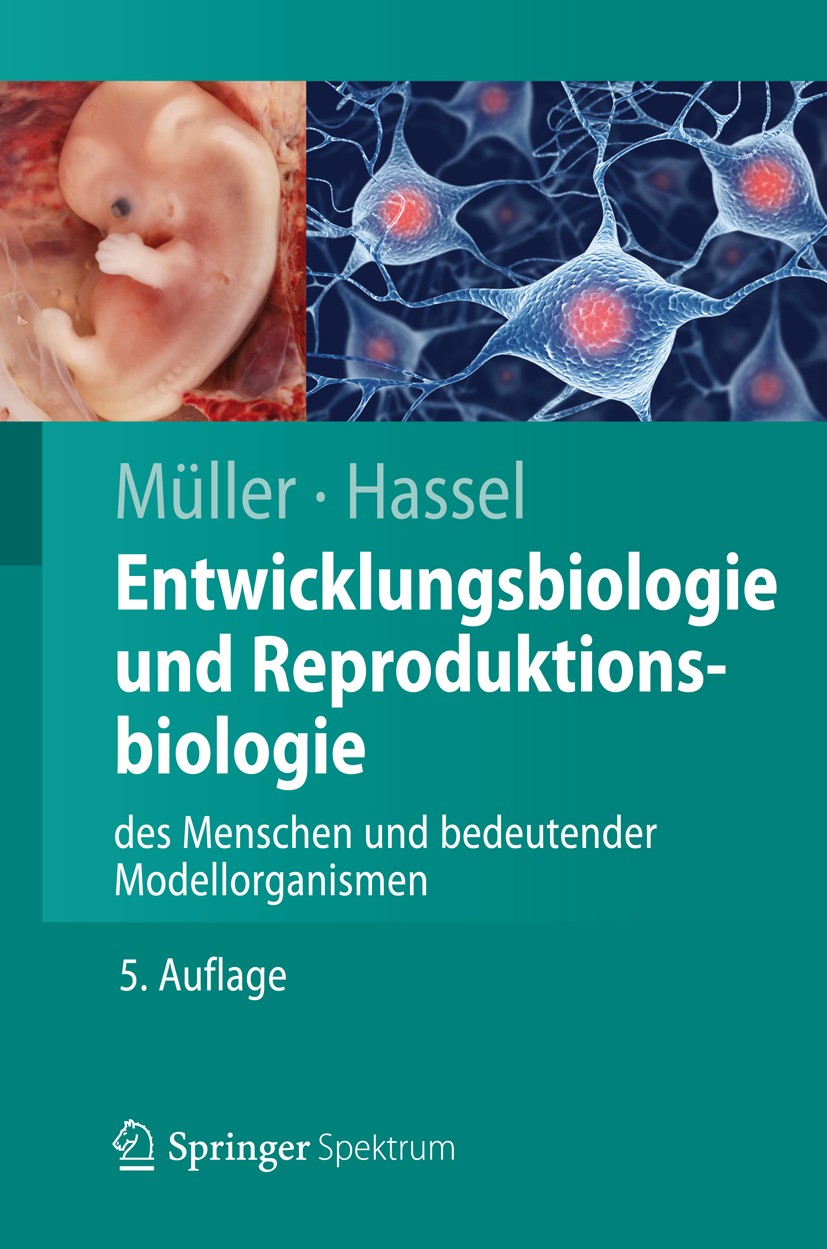 Titlebook: Entwicklungsbiologie und Reproduktionsbiologie des Menschen und bedeutender Modellorganismen; Werner A. Müller,Monika Hassel Textbook 2012 Titlebook: Entwicklungsbiologie und Reproduktionsbiologie des Menschen und bedeutender Modellorganismen; Werner A. Müller,Monika Hassel Textbook 2012