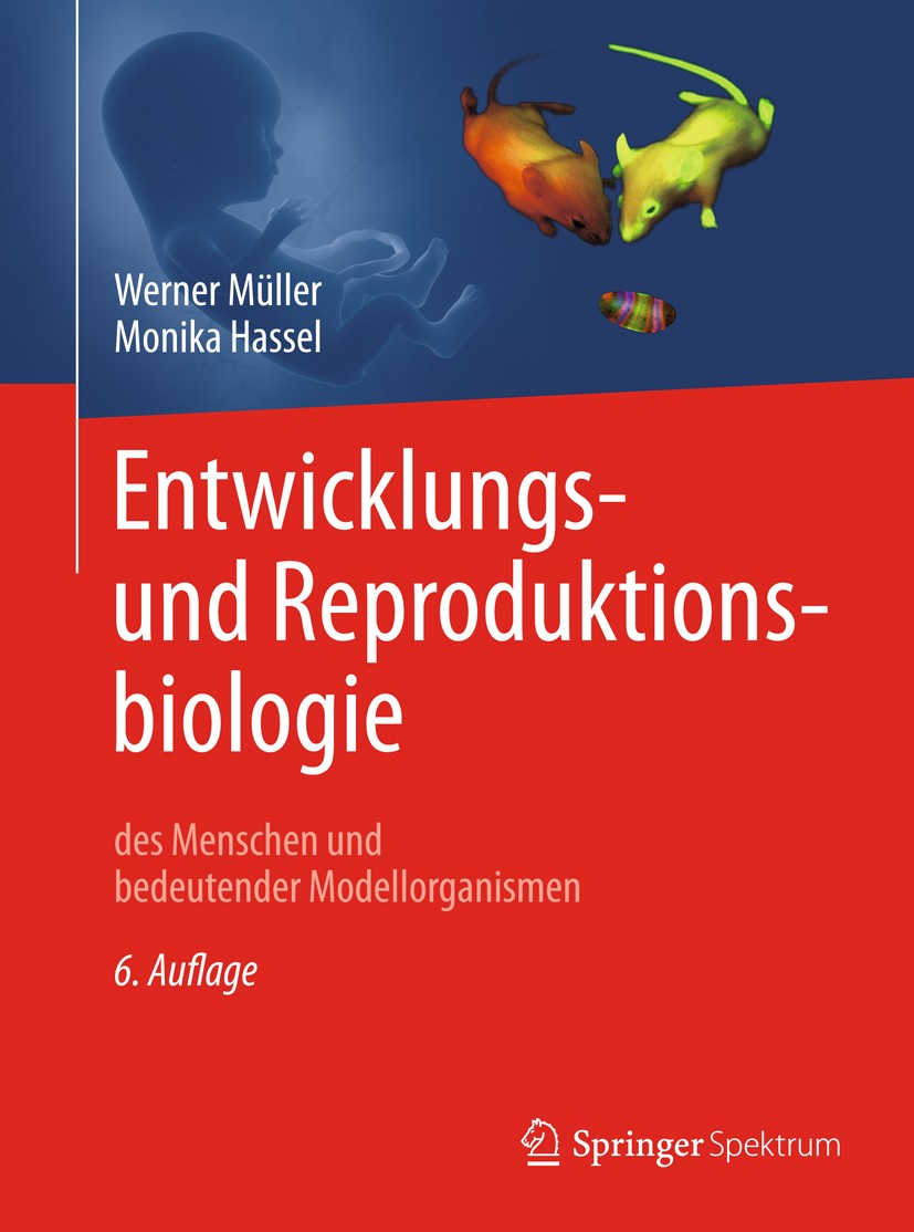 Titlebook: Entwicklungsbiologie und Reproduktionsbiologie des Menschen und bedeutender Modellorganismen; Werner A. Müller,Monika Hassel Textbook 2018 Titlebook: Entwicklungsbiologie und Reproduktionsbiologie des Menschen und bedeutender Modellorganismen; Werner A. Müller,Monika Hassel Textbook 2018