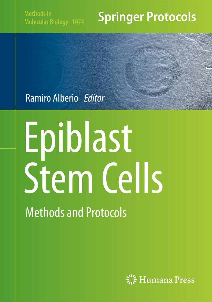 Titlebook: Epiblast Stem Cells; Methods and Protocol Ramiro Alberio Book 2013 Springer Science+Business Media, New York 2013 Embryo development.Epibla Titlebook: Epiblast Stem Cells; Methods and Protocol Ramiro Alberio Book 2013 Springer Science+Business Media, New York 2013 Embryo development.Epibla