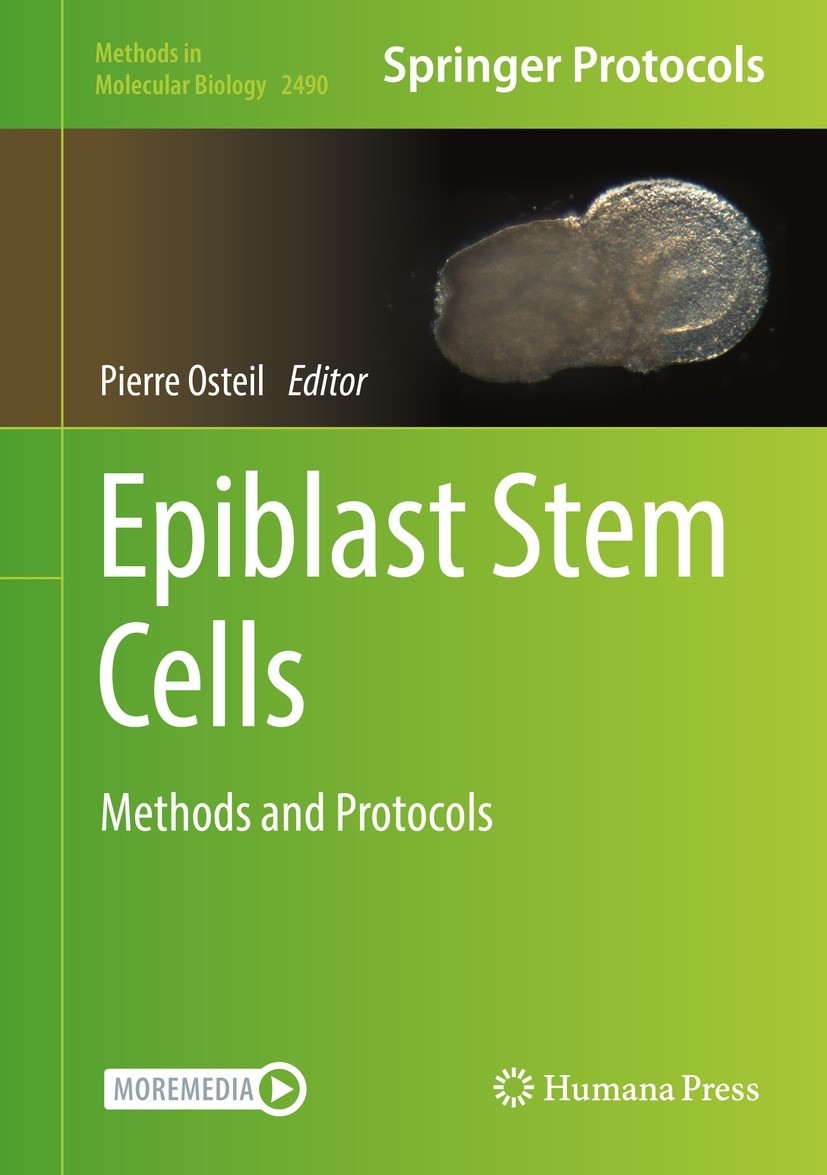 Titlebook: Epiblast Stem Cells; Methods and Protocol Pierre Osteil Book 2022 The Editor(s) (if applicable) and The Author(s), under exclusive license Titlebook: Epiblast Stem Cells; Methods and Protocol Pierre Osteil Book 2022 The Editor(s) (if applicable) and The Author(s), under exclusive license