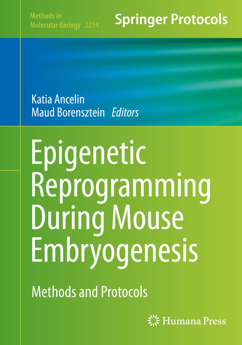 Titlebook: Epigenetic Reprogramming During Mouse Embryogenesis; Methods and Protocol Katia Ancelin,Maud Borensztein Book 2021 Springer Science+Busines Titlebook: Epigenetic Reprogramming During Mouse Embryogenesis; Methods and Protocol Katia Ancelin,Maud Borensztein Book 2021 Springer Science+Busines