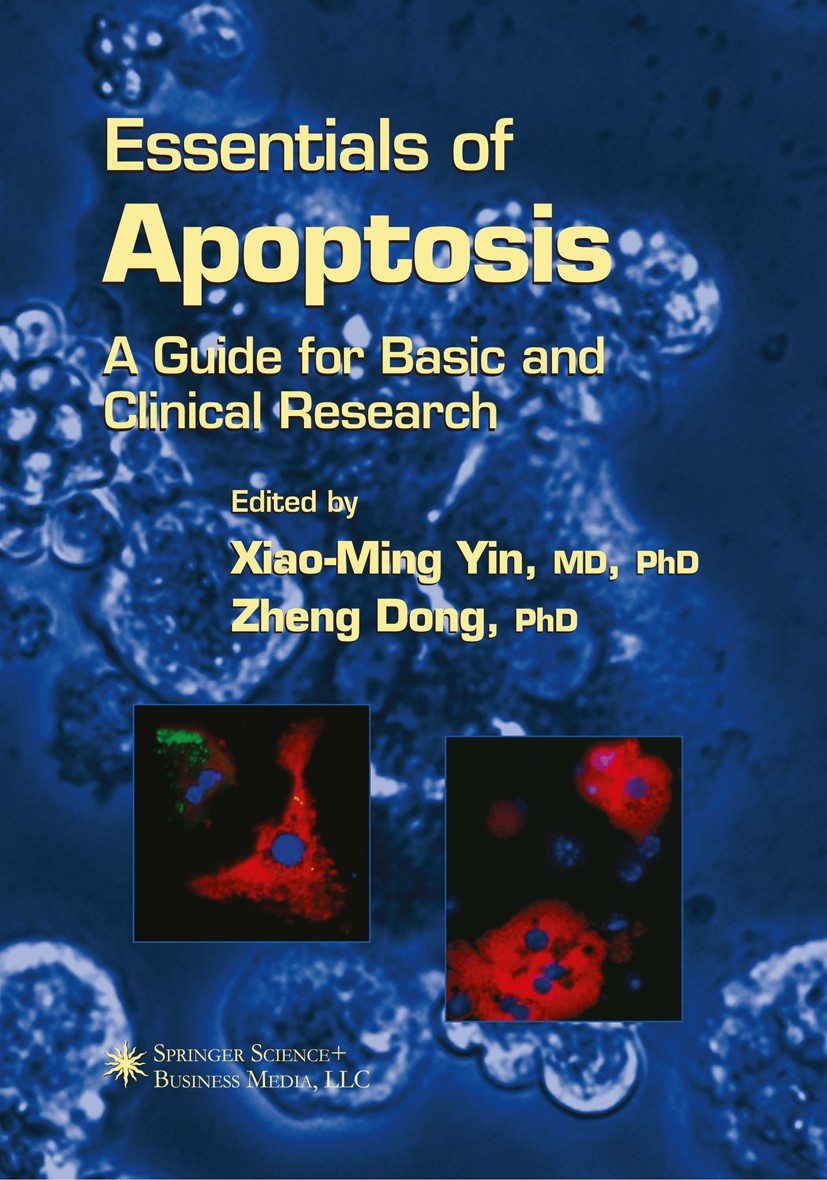 Titlebook: Essentials of Apoptosis; A Guide for Basic an Xiao-Ming Yin,Zheng Dong Book 20031st edition Humana Press 2003 Activation.Drosophila.apoptos Titlebook: Essentials of Apoptosis; A Guide for Basic an Xiao-Ming Yin,Zheng Dong Book 20031st edition Humana Press 2003 Activation.Drosophila.apoptos