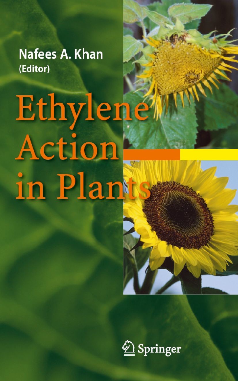 Titlebook: Ethylene Action in Plants; Nafees A. Khan Book 2006 Springer-Verlag Berlin Heidelberg 2006 Fruit.Plant physiology.Symbiose.abiotic stress. Titlebook: Ethylene Action in Plants; Nafees A. Khan Book 2006 Springer-Verlag Berlin Heidelberg 2006 Fruit.Plant physiology.Symbiose.abiotic stress.