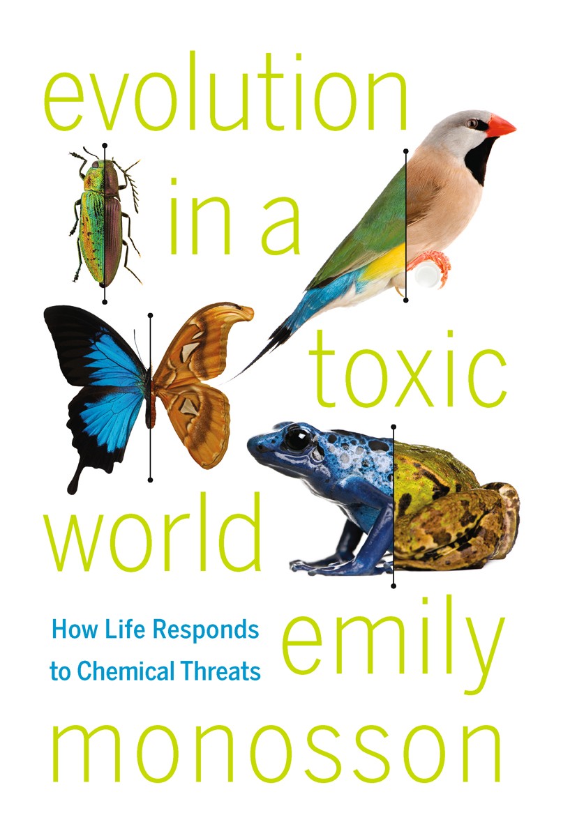 Titlebook: Evolution in a Toxic World; How Life Responds to Emily Monosson Book 2012Latest edition Emily Monosson 2012 Biology.Chemistry.Evolution.Tox Titlebook: Evolution in a Toxic World; How Life Responds to Emily Monosson Book 2012Latest edition Emily Monosson 2012 Biology.Chemistry.Evolution.Tox