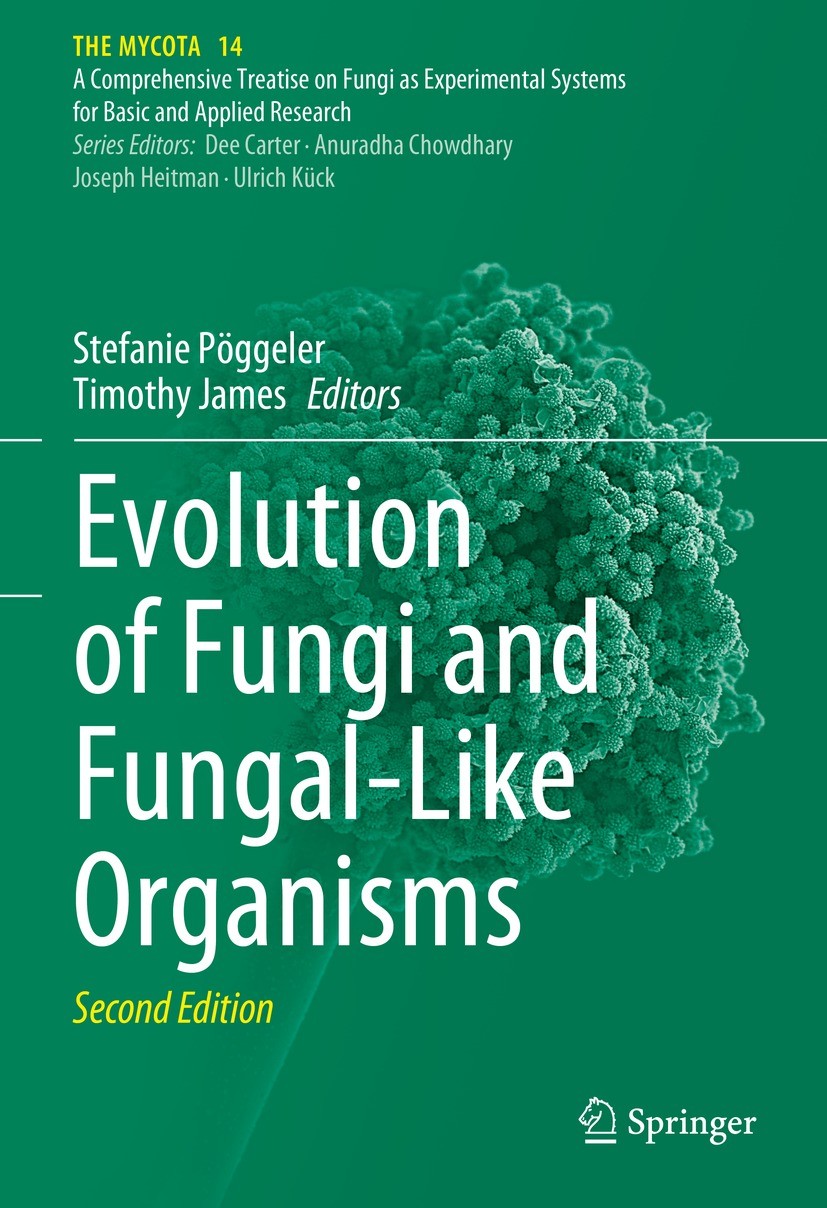Titlebook: Evolution of Fungi and Fungal-Like Organisms; Stefanie Pöggeler,Timothy James Book 2023Latest edition The Editor(s) (if applicable) and Th Titlebook: Evolution of Fungi and Fungal-Like Organisms; Stefanie Pöggeler,Timothy James Book 2023Latest edition The Editor(s) (if applicable) and Th