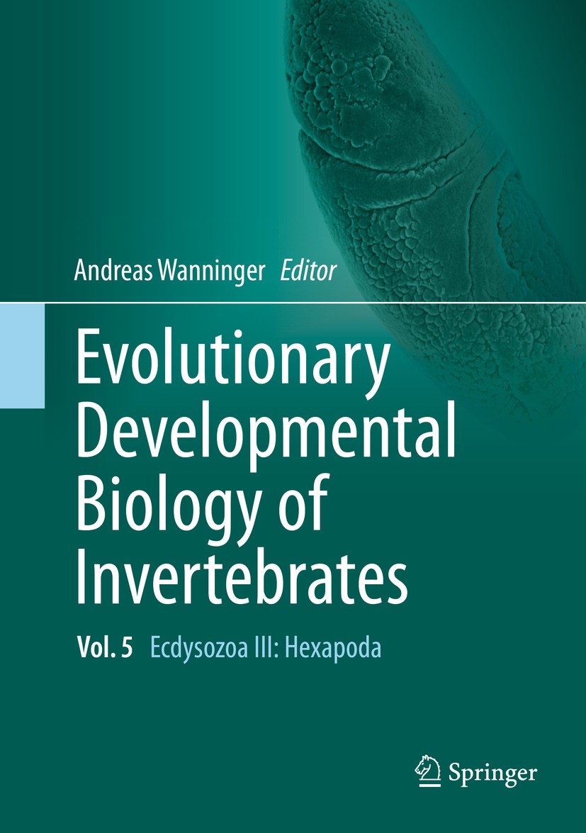 Titlebook: Evolutionary Developmental Biology of Invertebrates 5; Ecdysozoa III: Hexap Andreas Wanninger Textbook 2015 Springer-Verlag Wien 2015 gene Titlebook: Evolutionary Developmental Biology of Invertebrates 5; Ecdysozoa III: Hexap Andreas Wanninger Textbook 2015 Springer-Verlag Wien 2015 gene