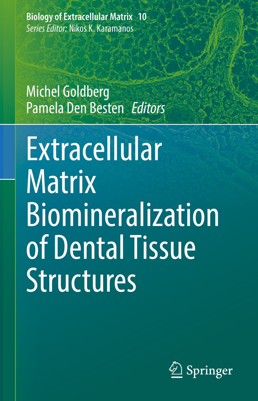 Titlebook: Extracellular Matrix Biomineralization of Dental Tissue Structures; Michel Goldberg,Pamela Den Besten Book 2021 The Editor(s) (if applicab Titlebook: Extracellular Matrix Biomineralization of Dental Tissue Structures; Michel Goldberg,Pamela Den Besten Book 2021 The Editor(s) (if applicab