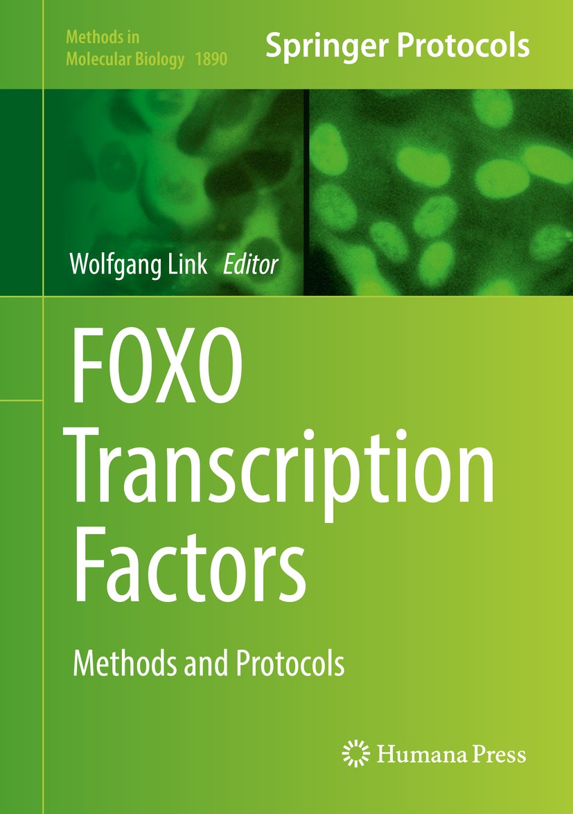 Titlebook: FOXO Transcription Factors; Methods and Protocol Wolfgang Link Book 2019 Springer Science+Business Media, LLC, part of Springer Nature 2019 Titlebook: FOXO Transcription Factors; Methods and Protocol Wolfgang Link Book 2019 Springer Science+Business Media, LLC, part of Springer Nature 2019