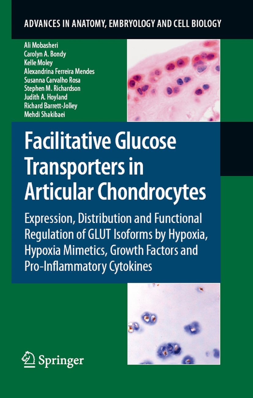 Titlebook: Facilitative Glucose Transporters in Articular Chondrocytes; Expression, Distribu Ali Mobasheri,Carolyn A. Bondy,Mehdi Shakibaei Book 2008 Titlebook: Facilitative Glucose Transporters in Articular Chondrocytes; Expression, Distribu Ali Mobasheri,Carolyn A. Bondy,Mehdi Shakibaei Book 2008