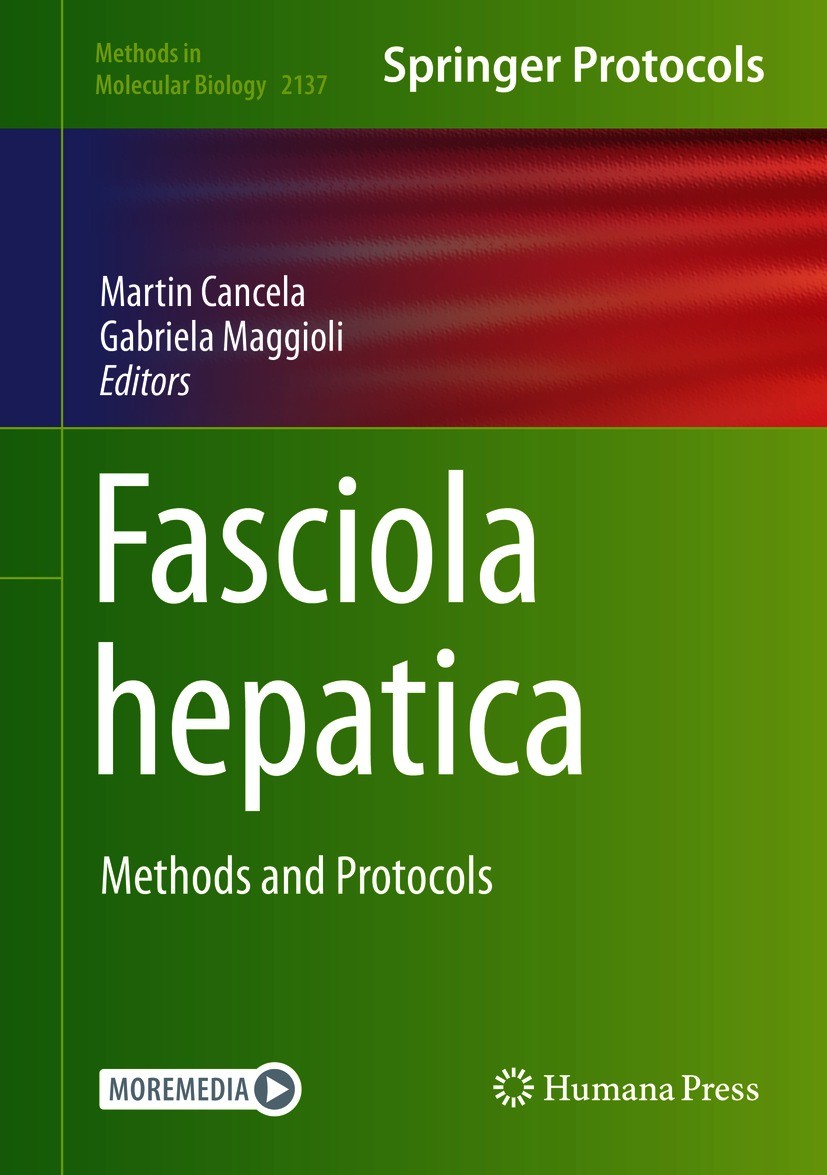 Titlebook: Fasciola hepatica; Methods and Protocol Martin Cancela,Gabriela Maggioli Book 2020 Springer Science+Business Media, LLC, part of Springer N Titlebook: Fasciola hepatica; Methods and Protocol Martin Cancela,Gabriela Maggioli Book 2020 Springer Science+Business Media, LLC, part of Springer N