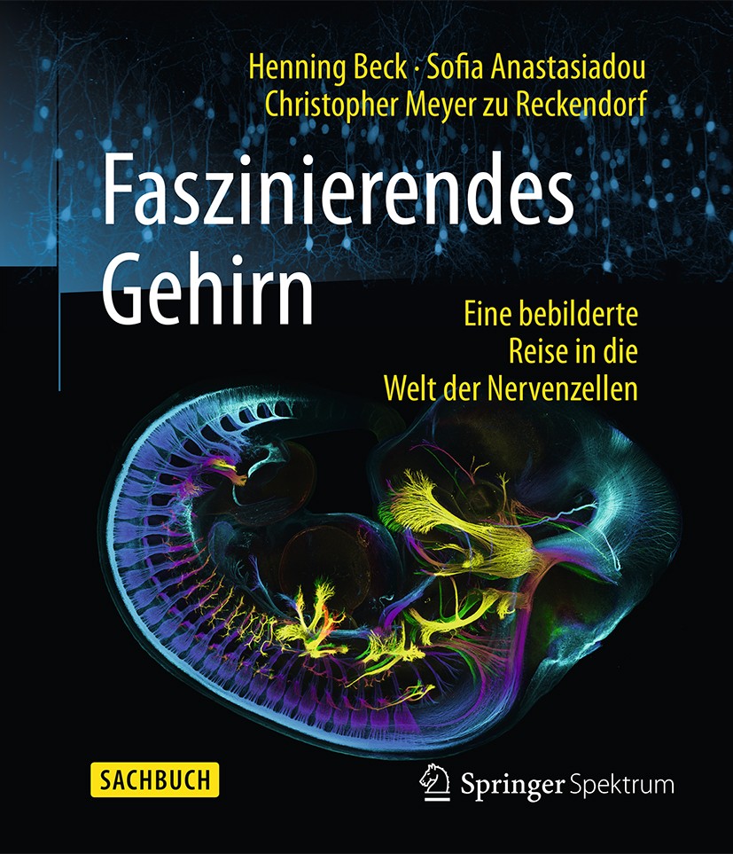 Titlebook: Faszinierendes Gehirn; Eine bebilderte Reis Henning Beck,Sofia Anastasiadou,Christopher Meyer Book 20161st edition Springer-Verlag Berlin Titlebook: Faszinierendes Gehirn; Eine bebilderte Reis Henning Beck,Sofia Anastasiadou,Christopher Meyer Book 20161st edition Springer-Verlag Berlin