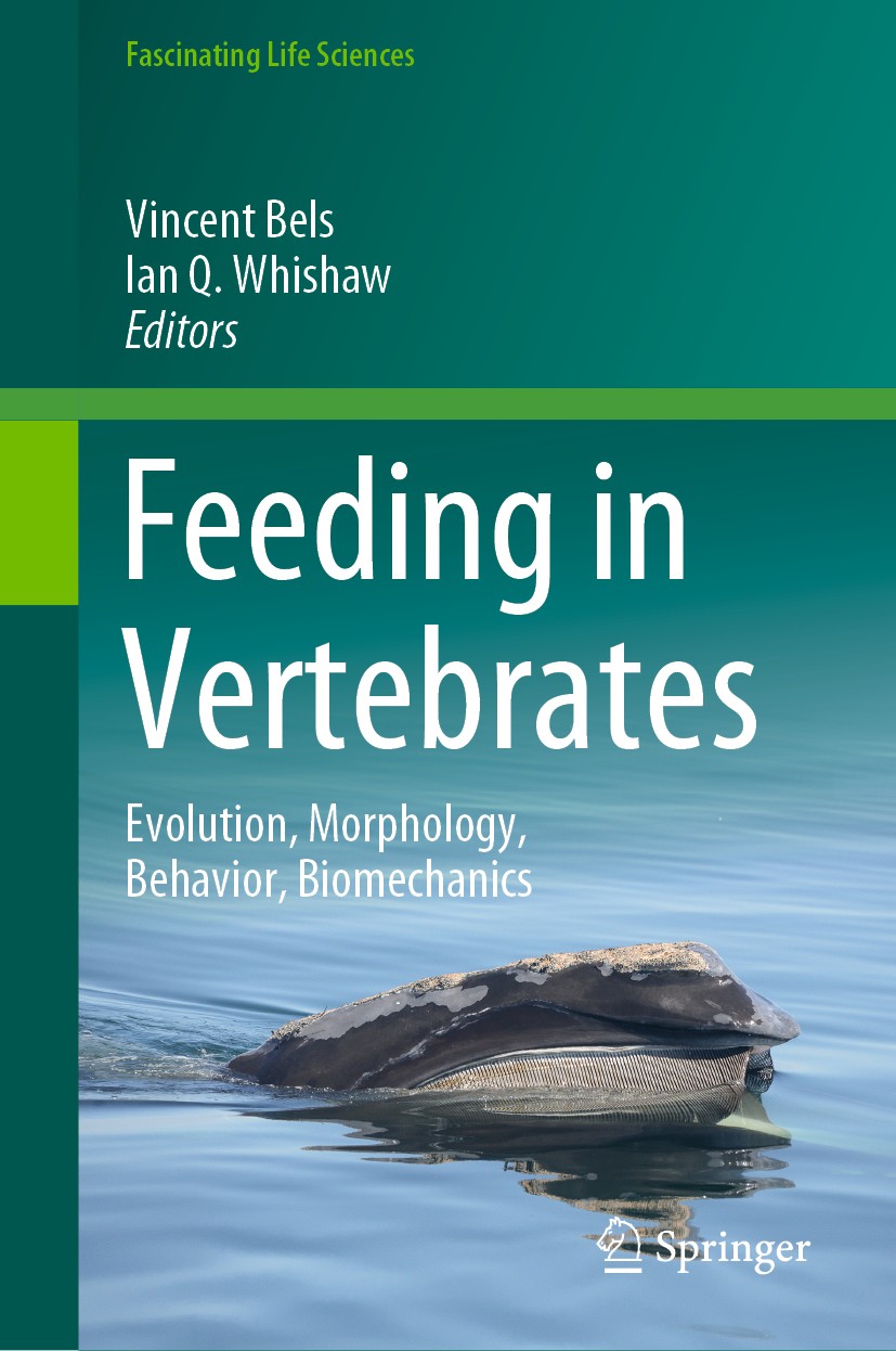 Titlebook: Feeding in Vertebrates; Evolution, Morpholog Vincent Bels,Ian Q. Whishaw Book 2019 Springer Nature Switzerland AG 2019 Functional Morpholog Titlebook: Feeding in Vertebrates; Evolution, Morpholog Vincent Bels,Ian Q. Whishaw Book 2019 Springer Nature Switzerland AG 2019 Functional Morpholog