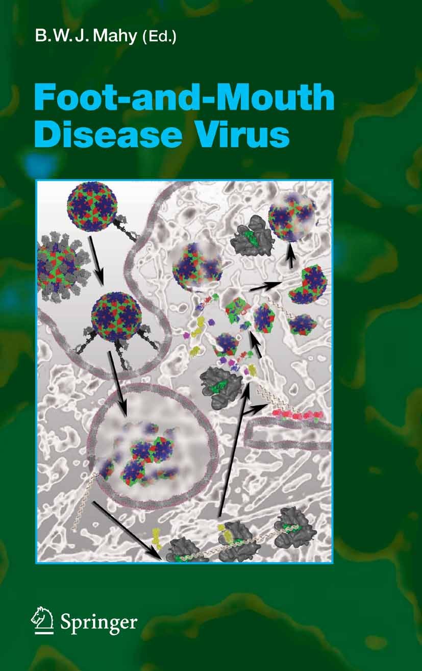 Titlebook: Foot-and-Mouth Disease Virus; Brian W.J. Mahy Book 2005 The Editor(s) (if applicable) and The Author(s), under exclusive license to Spring Titlebook: Foot-and-Mouth Disease Virus; Brian W.J. Mahy Book 2005 The Editor(s) (if applicable) and The Author(s), under exclusive license to Spring