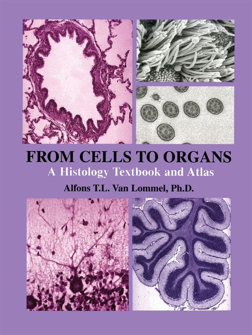 Titlebook: From Cells to Organs; A Histology Textbook Alfons T. L. Lommel Book 2003 Springer Science+Business Media Dordrecht 2003 anatomy.bone.cell.c Titlebook: From Cells to Organs; A Histology Textbook Alfons T. L. Lommel Book 2003 Springer Science+Business Media Dordrecht 2003 anatomy.bone.cell.c