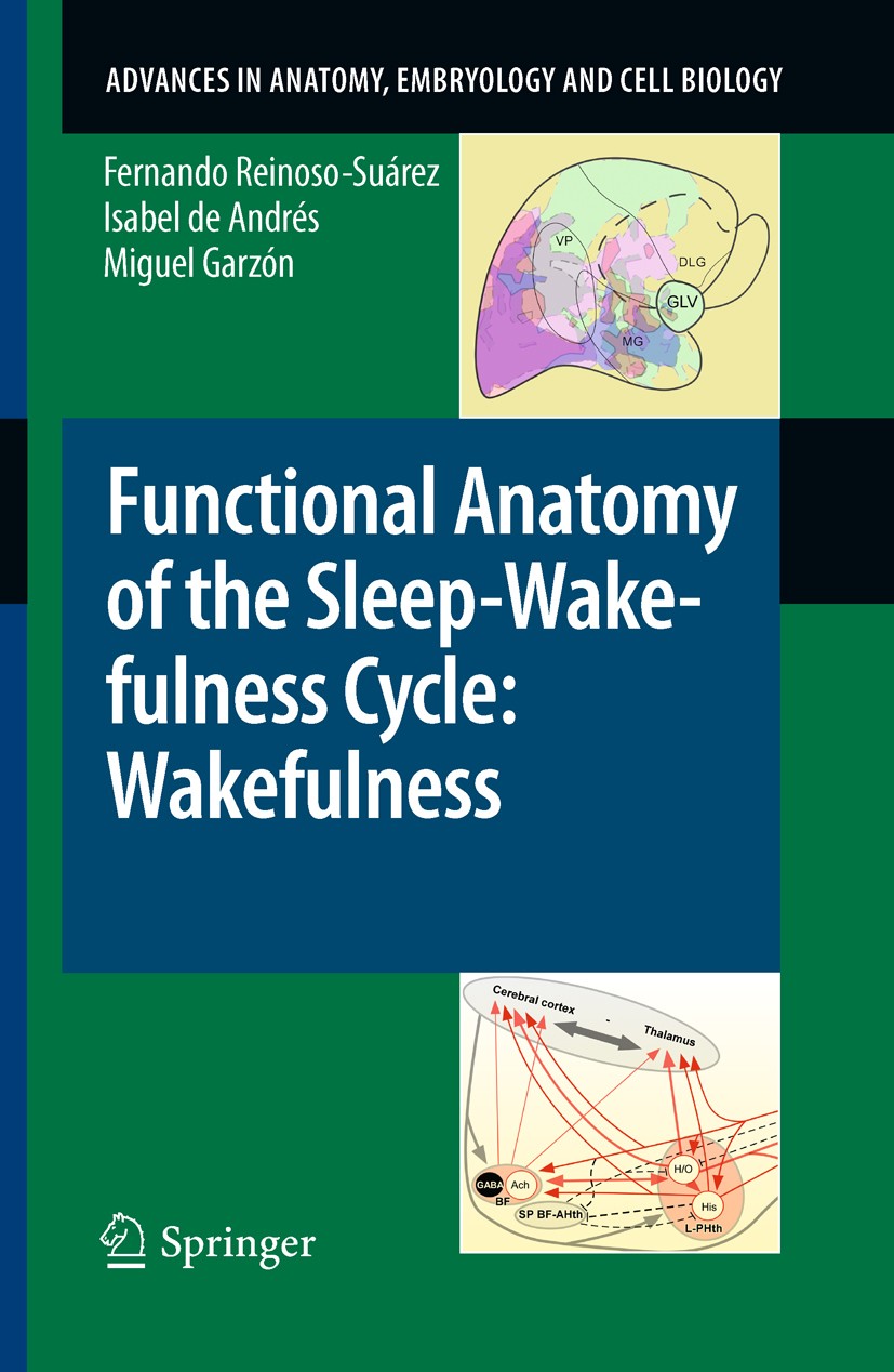 Titlebook: Functional Anatomy of the Sleep-Wakefulness Cycle: Wakefulness; Fernando Reinoso-Suárez,Isabel de Andrés,Miguel Ga Book 2011 The Editor(s) Titlebook: Functional Anatomy of the Sleep-Wakefulness Cycle: Wakefulness; Fernando Reinoso-Suárez,Isabel de Andrés,Miguel Ga Book 2011 The Editor(s)