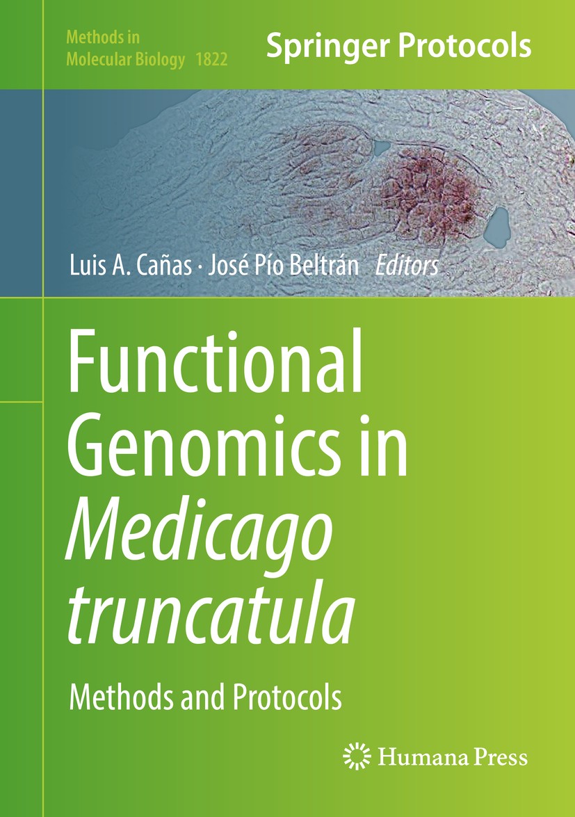 Titlebook: Functional Genomics in Medicago truncatula; Methods and Protocol Luis A. Cañas,José Pío Beltrán Book 2018 Springer Science+Business Media, Titlebook: Functional Genomics in Medicago truncatula; Methods and Protocol Luis A. Cañas,José Pío Beltrán Book 2018 Springer Science+Business Media,