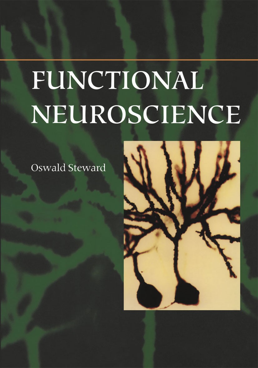 Titlebook: Functional Neuroscience; Oswald Steward Textbook 2000 Springer Science+Business Media New York 2000 Nervous System.anatomy.attention.bioch Titlebook: Functional Neuroscience; Oswald Steward Textbook 2000 Springer Science+Business Media New York 2000 Nervous System.anatomy.attention.bioch