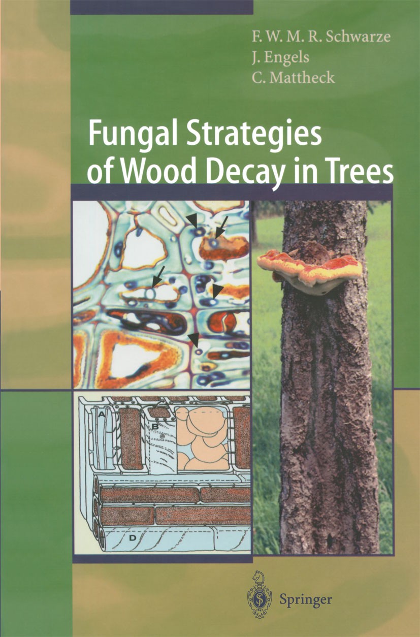 Titlebook: Fungal Strategies of Wood Decay in Trees; Francis W. M. R. Schwarze,Julia Engels,Claus Matth Book 2000 Springer-Verlag Berlin Heidelberg 2 Titlebook: Fungal Strategies of Wood Decay in Trees; Francis W. M. R. Schwarze,Julia Engels,Claus Matth Book 2000 Springer-Verlag Berlin Heidelberg 2