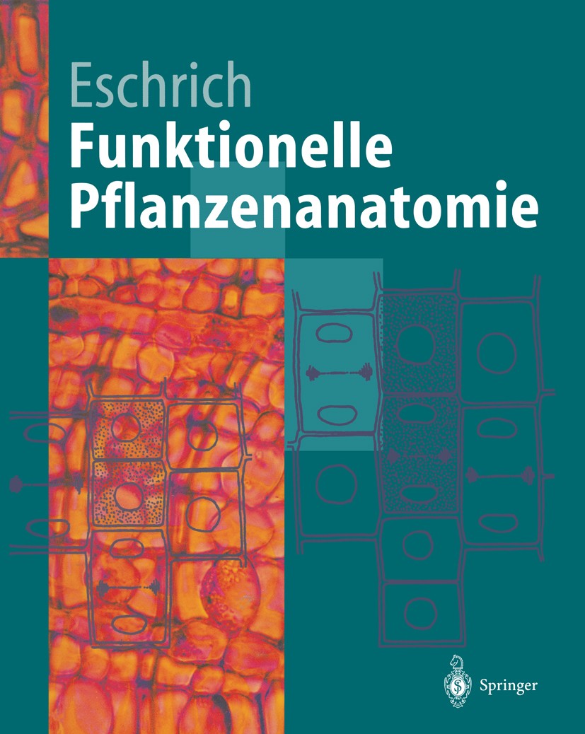 Titlebook: Funktionelle Pflanzenanatomie; Walter Eschrich Textbook 1995 Springer-Verlag Berlin Heidelberg 1995 Botanik.Funktion pflanzlicher Baueleme Titlebook: Funktionelle Pflanzenanatomie; Walter Eschrich Textbook 1995 Springer-Verlag Berlin Heidelberg 1995 Botanik.Funktion pflanzlicher Baueleme