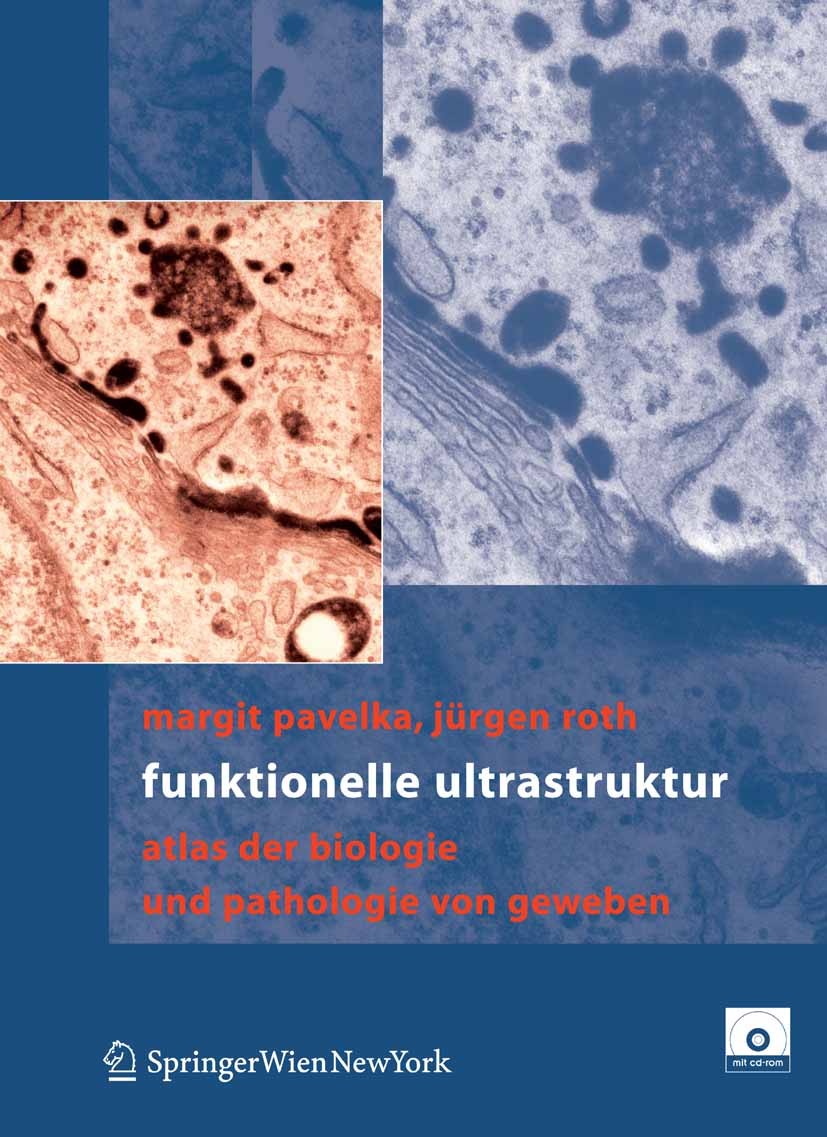 Titlebook: Funktionelle Ultrastruktur; Atlas der Biologie u Margit Pavelka,Jürgen Roth Book 2005 Springer-Verlag Vienna 2005 Biosynthese.Elektronenmik Titlebook: Funktionelle Ultrastruktur; Atlas der Biologie u Margit Pavelka,Jürgen Roth Book 2005 Springer-Verlag Vienna 2005 Biosynthese.Elektronenmik