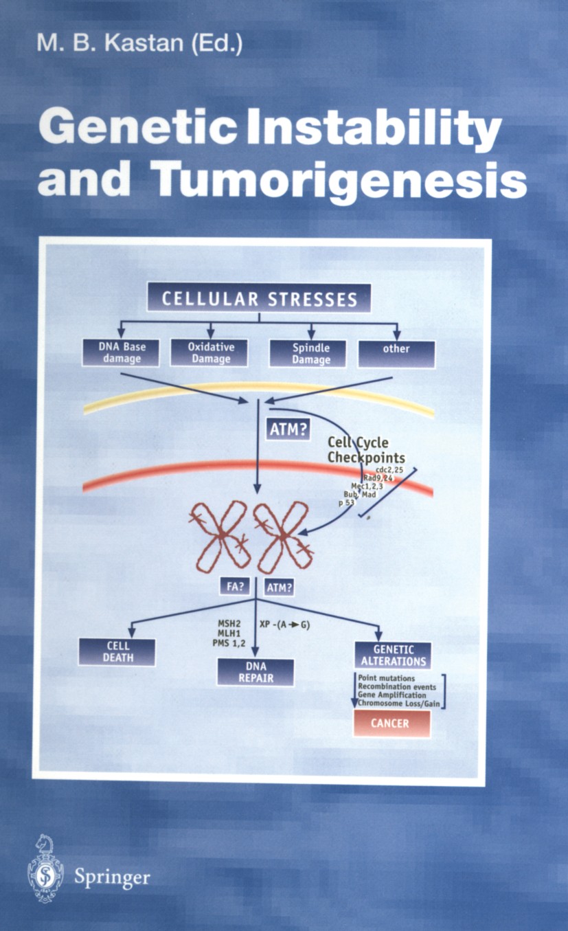 Titlebook: Genetic Instability and Tumorigenesis; Michael B. Kastan Book 1997 The Editor(s) (if applicable) and The Author(s), under exclusive licens Titlebook: Genetic Instability and Tumorigenesis; Michael B. Kastan Book 1997 The Editor(s) (if applicable) and The Author(s), under exclusive licens
