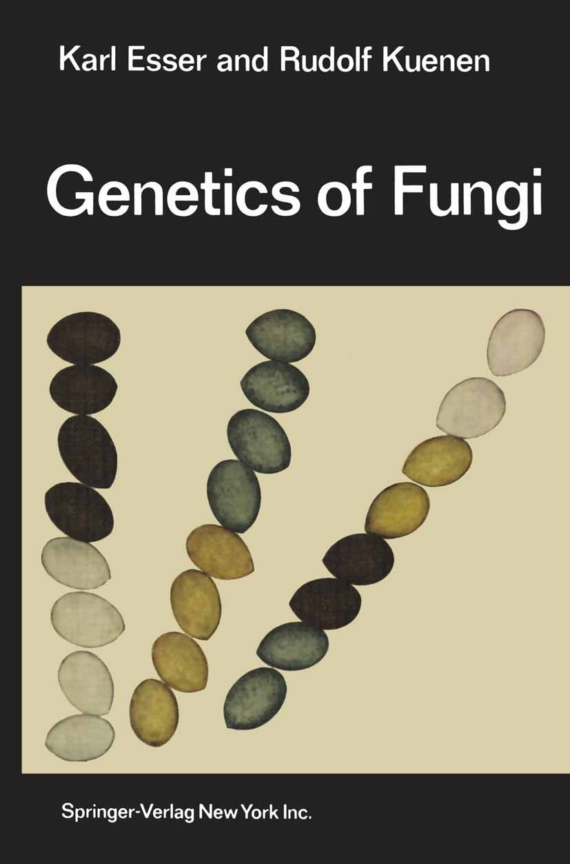 Titlebook: Genetics of Fungi; Karl Esser,Rudolf Kuenen Textbook 1967 Springer-Verlag Berlin · Heidelberg 1967 Pilze.Vererbung.chromosome.genetics.mor Titlebook: Genetics of Fungi; Karl Esser,Rudolf Kuenen Textbook 1967 Springer-Verlag Berlin · Heidelberg 1967 Pilze.Vererbung.chromosome.genetics.mor