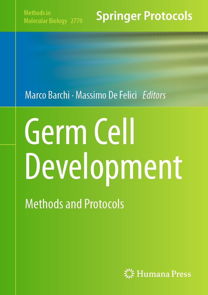 Titlebook: Germ Cell Development; Methods and Protocol Marco Barchi,Massimo De Felici Book 2024 The Editor(s) (if applicable) and The Author(s), under Titlebook: Germ Cell Development; Methods and Protocol Marco Barchi,Massimo De Felici Book 2024 The Editor(s) (if applicable) and The Author(s), under