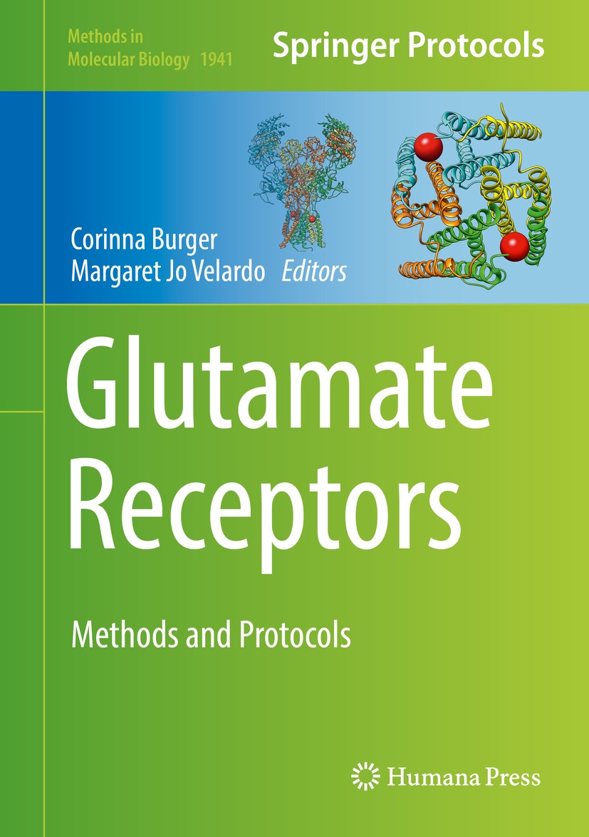 Titlebook: Glutamate Receptors; Methods and Protocol Corinna Burger,Margaret Jo Velardo Book 2019 Springer Science+Business Media, LLC, part of Spring Titlebook: Glutamate Receptors; Methods and Protocol Corinna Burger,Margaret Jo Velardo Book 2019 Springer Science+Business Media, LLC, part of Spring