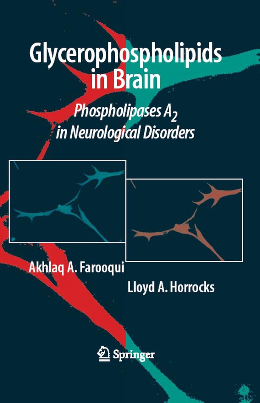 Titlebook: Glycerophospholipids in the Brain; Phospholipases A2 in Akhlaq A. Farooqui,Lloyd A. Horrocks Book 2007 Springer-Verlag New York 2007 Brain. Titlebook: Glycerophospholipids in the Brain; Phospholipases A2 in Akhlaq A. Farooqui,Lloyd A. Horrocks Book 2007 Springer-Verlag New York 2007 Brain.