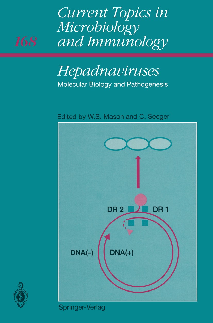 Titlebook: Hepadnaviruses; Molecular Biology an William S. Mason,Christoph Seeger Book 1991 The Editor(s) (if applicable) and The Author(s), under exc Titlebook: Hepadnaviruses; Molecular Biology an William S. Mason,Christoph Seeger Book 1991 The Editor(s) (if applicable) and The Author(s), under exc