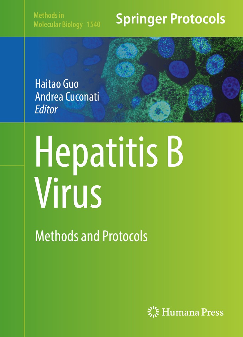 Titlebook: Hepatitis B Virus; Methods and Protocol Haitao Guo,Andrea Cuconati Book 2017 Springer Science+Business Media LLC 2017 DNA and RNA viruses.c Titlebook: Hepatitis B Virus; Methods and Protocol Haitao Guo,Andrea Cuconati Book 2017 Springer Science+Business Media LLC 2017 DNA and RNA viruses.c