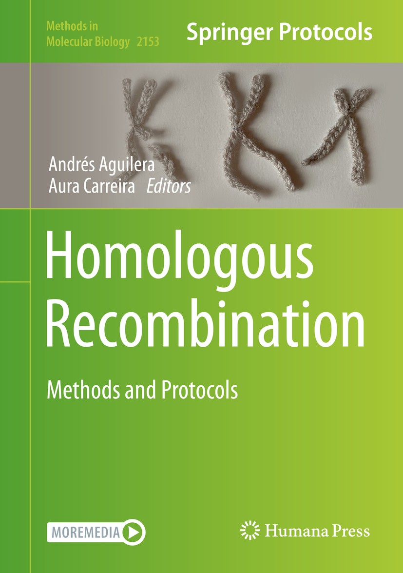 Titlebook: Homologous Recombination; Methods and Protocol Andrés Aguilera,Aura Carreira Book 2021 Springer Science+Business Media, LLC, part of Spring Titlebook: Homologous Recombination; Methods and Protocol Andrés Aguilera,Aura Carreira Book 2021 Springer Science+Business Media, LLC, part of Spring