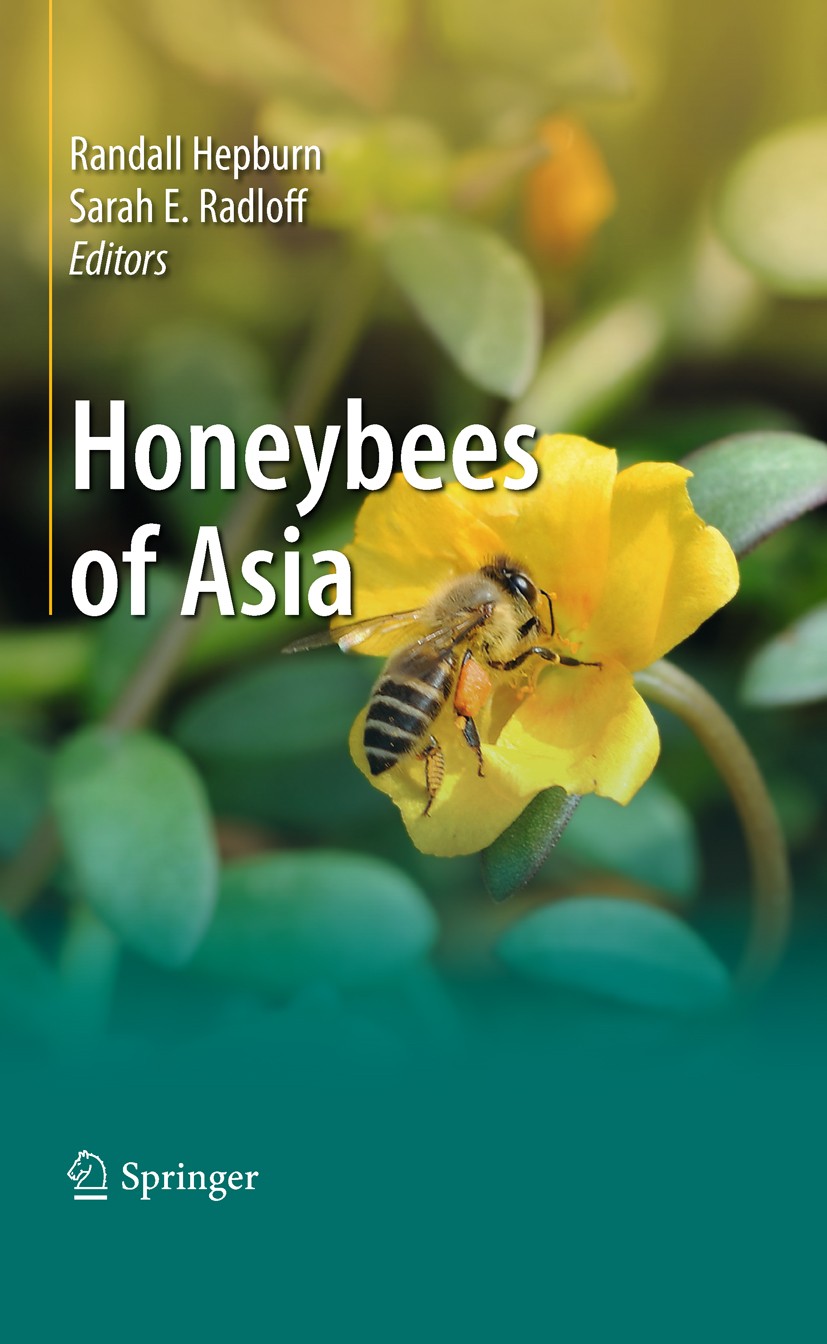 Titlebook: Honeybees of Asia; H. Randall Hepburn,Sarah E. Radloff Book 2011 Springer-Verlag Berlin Heidelberg 2011 Asian honeybees.biology.classifica Titlebook: Honeybees of Asia; H. Randall Hepburn,Sarah E. Radloff Book 2011 Springer-Verlag Berlin Heidelberg 2011 Asian honeybees.biology.classifica