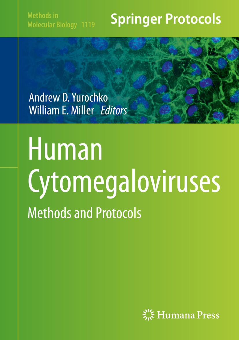 Titlebook: Human Cytomegaloviruses; Methods and Protocol Andrew D. Yurochko,William E. Miller Book 2014 Springer New York 2014 cytomegalovirus.fibrobl Titlebook: Human Cytomegaloviruses; Methods and Protocol Andrew D. Yurochko,William E. Miller Book 2014 Springer New York 2014 cytomegalovirus.fibrobl