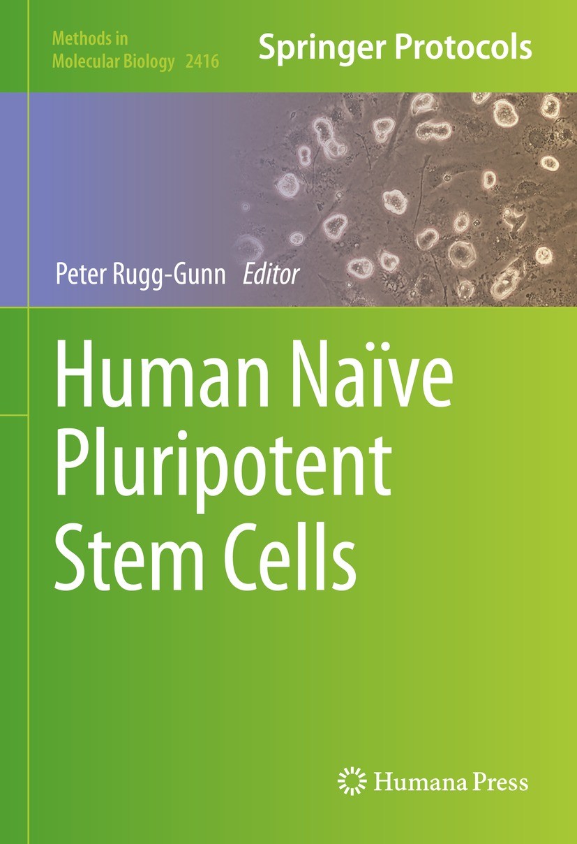 Titlebook: Human Naïve Pluripotent Stem Cells; Peter Rugg-Gunn Book 2022 The Editor(s) (if applicable) and The Author(s), under exclusive license to Titlebook: Human Naïve Pluripotent Stem Cells; Peter Rugg-Gunn Book 2022 The Editor(s) (if applicable) and The Author(s), under exclusive license to