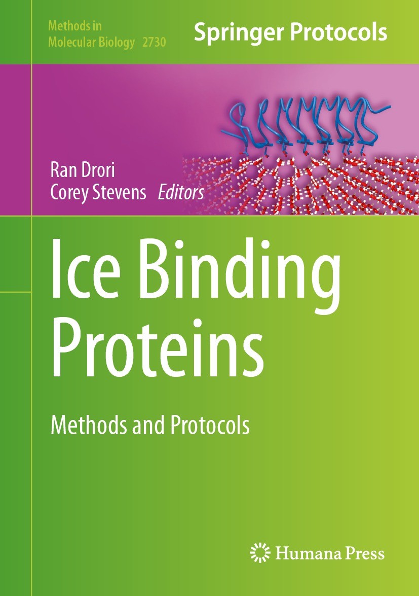 Titlebook: Ice Binding Proteins; Methods and Protocol Ran Drori,Corey Stevens Book 2024 The Editor(s) (if applicable) and The Author(s), under exclusi Titlebook: Ice Binding Proteins; Methods and Protocol Ran Drori,Corey Stevens Book 2024 The Editor(s) (if applicable) and The Author(s), under exclusi