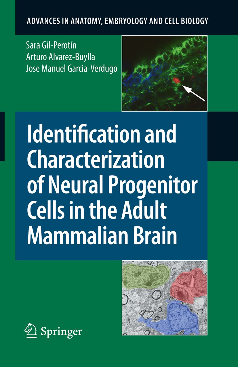 Titlebook: Identification and Characterization of Neural Progenitor Cells in the Adult Mammalian Brain; Jose Manuel Garcia-Verdugo,Arturo Alvarez-Buy Titlebook: Identification and Characterization of Neural Progenitor Cells in the Adult Mammalian Brain; Jose Manuel Garcia-Verdugo,Arturo Alvarez-Buy