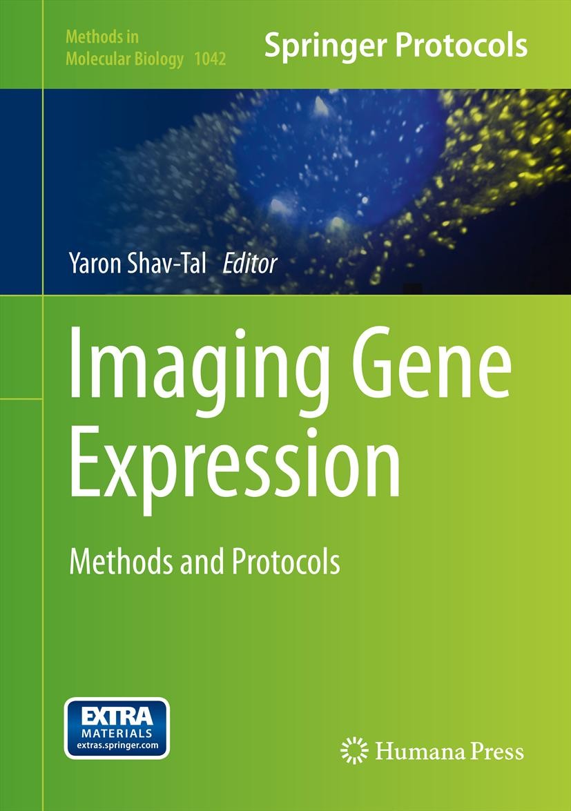 Titlebook: Imaging Gene Expression; Methods and Protocol Yaron Shav-Tal Book 2013 Springer Science+Business Media, LLC 2013 Chromatin dynamics.Eukaryo Titlebook: Imaging Gene Expression; Methods and Protocol Yaron Shav-Tal Book 2013 Springer Science+Business Media, LLC 2013 Chromatin dynamics.Eukaryo