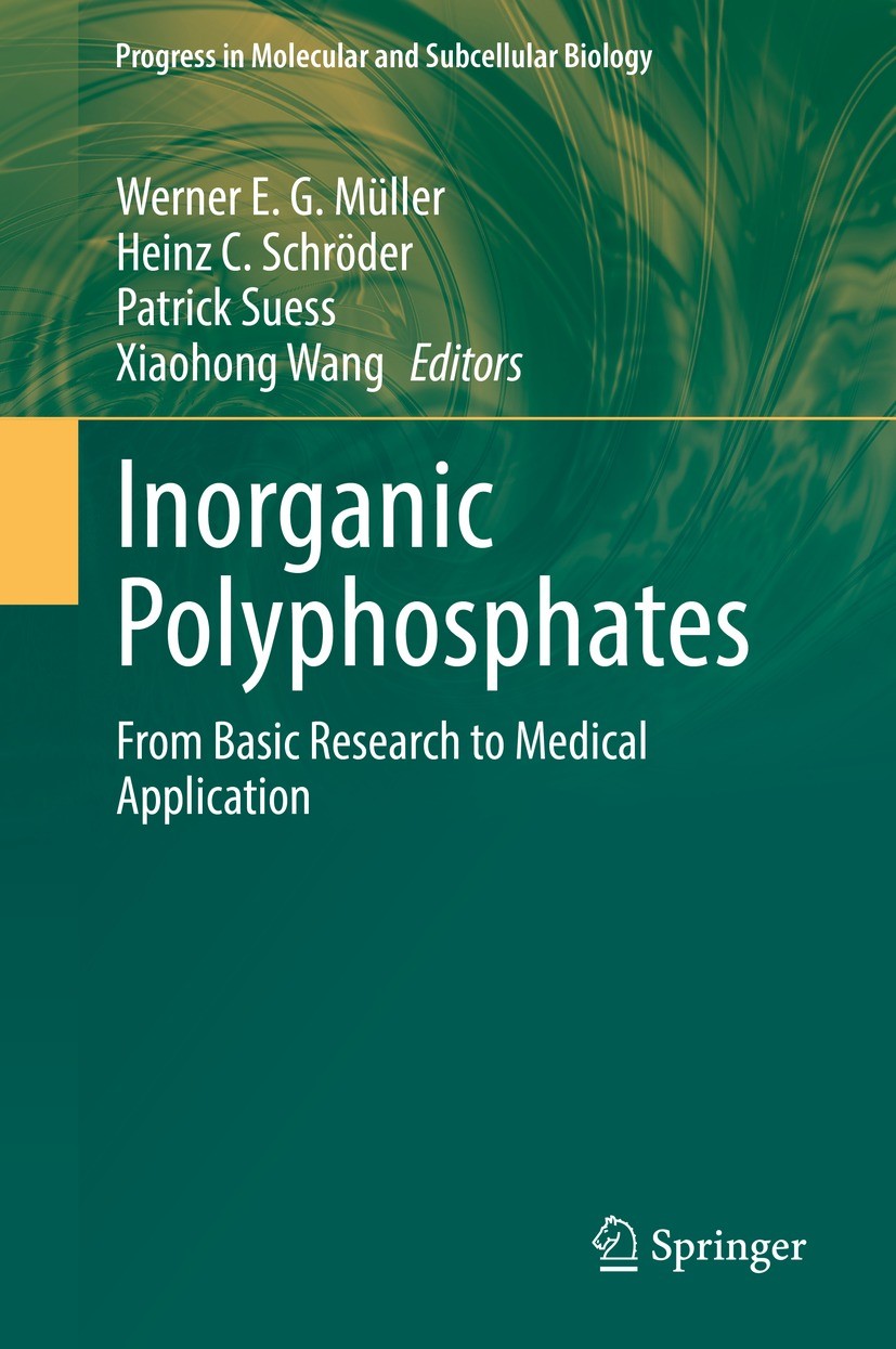 Titlebook: Inorganic Polyphosphates; From Basic Research Werner E. G. Müller,Heinz C. Schröder,Xiaohong Wan Book 2022 The Editor(s) (if applicable) a Titlebook: Inorganic Polyphosphates; From Basic Research Werner E. G. Müller,Heinz C. Schröder,Xiaohong Wan Book 2022 The Editor(s) (if applicable) a