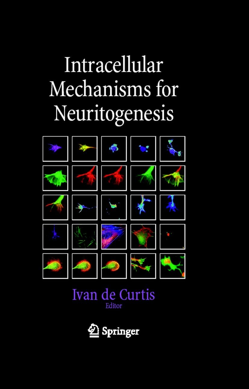 Titlebook: Intracellular Mechanisms for Neuritogenesis; Ivan Curtis Book 2007 Springer-Verlag US 2007 Elongation.behavior.neurobiology.neurons.signal Titlebook: Intracellular Mechanisms for Neuritogenesis; Ivan Curtis Book 2007 Springer-Verlag US 2007 Elongation.behavior.neurobiology.neurons.signal