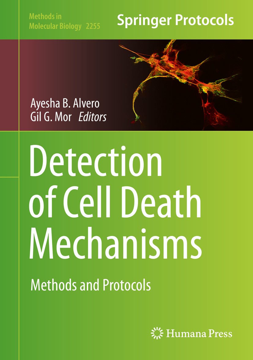 Titlebook: Detection of Cell Death Mechanisms; Methods and Protocol Ayesha B. Alvero,Gil G. Mor Book 2021 Springer Science+Business Media, LLC, part o Titlebook: Detection of Cell Death Mechanisms; Methods and Protocol Ayesha B. Alvero,Gil G. Mor Book 2021 Springer Science+Business Media, LLC, part o