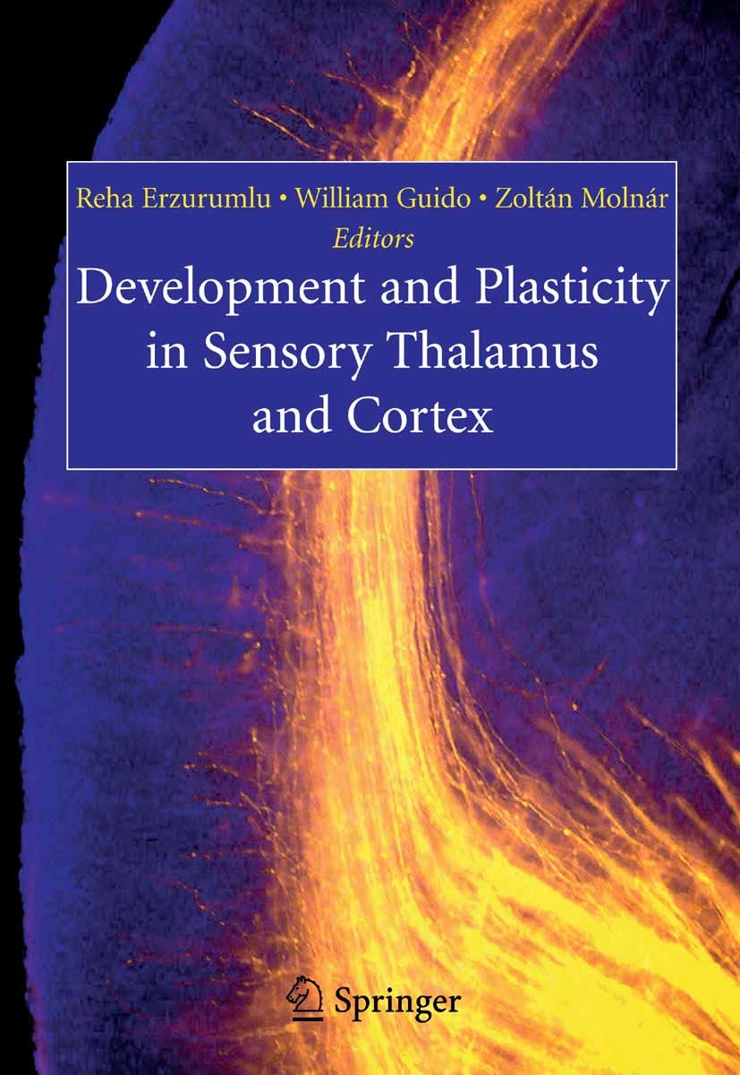 Titlebook: Development and Plasticity in Sensory Thalamus and Cortex; Reha Erzurumlu,William Guido,Zoltán Molnár Book 2006 Springer-Verlag US 2006 Co Titlebook: Development and Plasticity in Sensory Thalamus and Cortex; Reha Erzurumlu,William Guido,Zoltán Molnár Book 2006 Springer-Verlag US 2006 Co